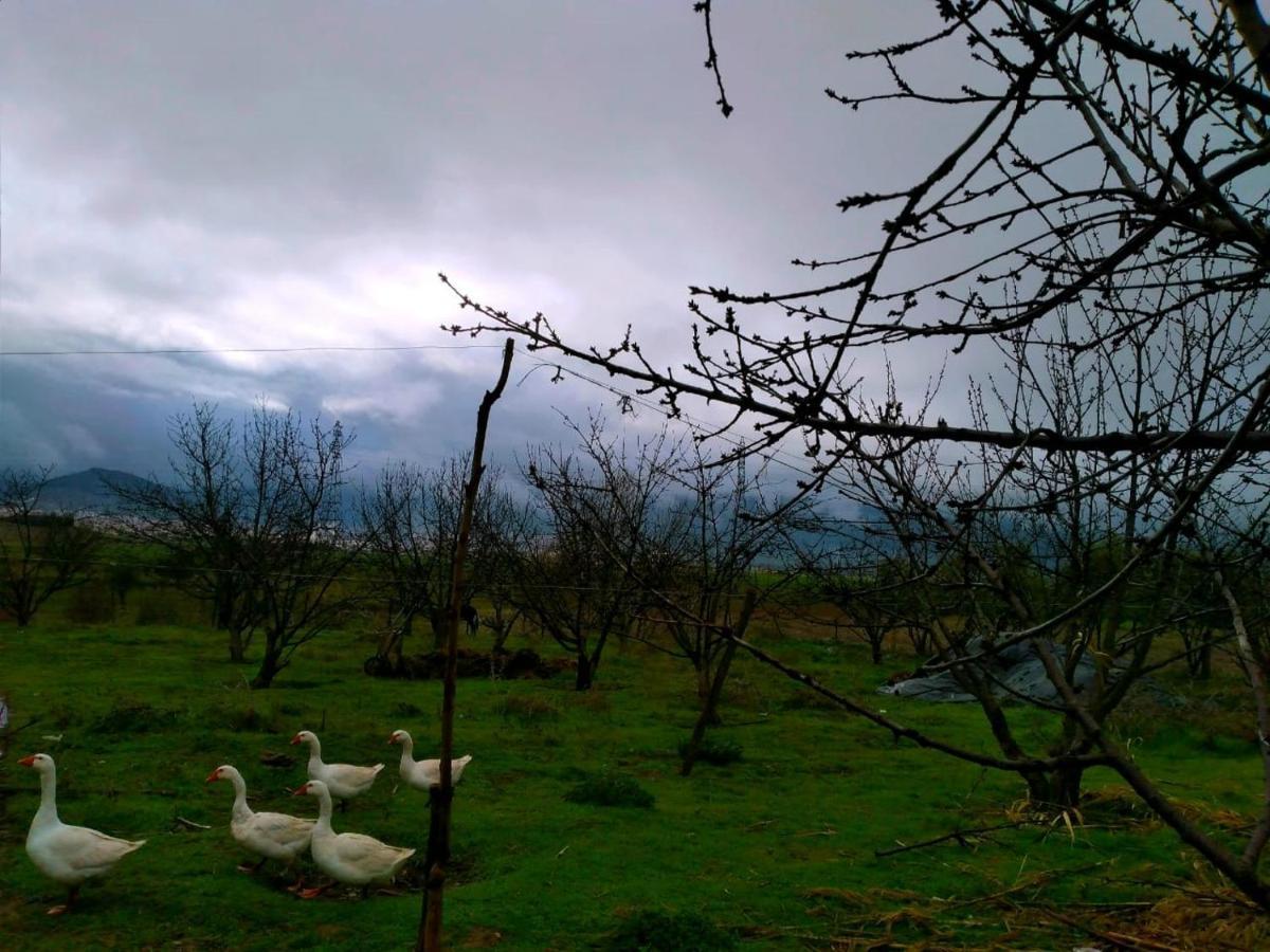 אזרו Ferme D'Hote La Vallee מראה חיצוני תמונה